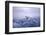 Whooper Swans Flying-DLILLC-Framed Photographic Print