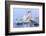 Whooper swans, Hokkaido, Japan-Art Wolfe Wolfe-Framed Photographic Print