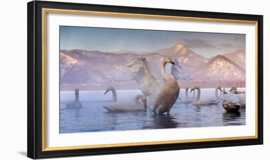 Whooper swans, Hokkaido, Japan-Art Wolfe Wolfe-Framed Photographic Print