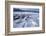 Whooper Swans on Frozen Lake-DLILLC-Framed Photographic Print