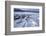 Whooper Swans on Frozen Lake-DLILLC-Framed Photographic Print