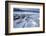 Whooper Swans on Frozen Lake-DLILLC-Framed Photographic Print