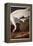 Whooping Crane, from "Birds of America"-John James Audubon-Framed Premier Image Canvas