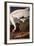 Whooping Crane, from "Birds of America"-John James Audubon-Framed Giclee Print