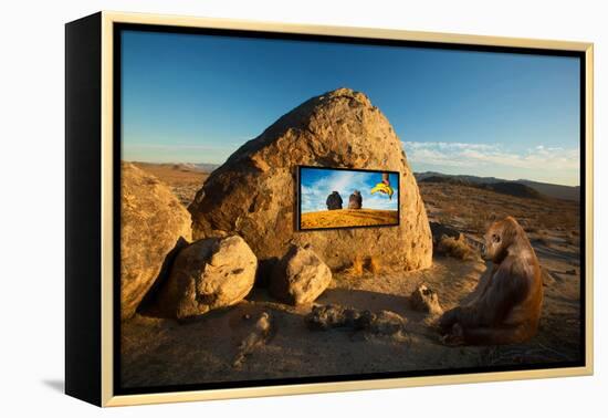 Why Media Works-Ron Jones-Framed Premier Image Canvas