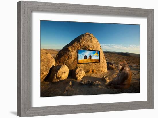 Why Media Works-Ron Jones-Framed Photographic Print