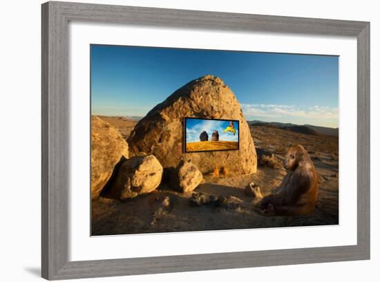 Why Media Works-Ron Jones-Framed Photographic Print