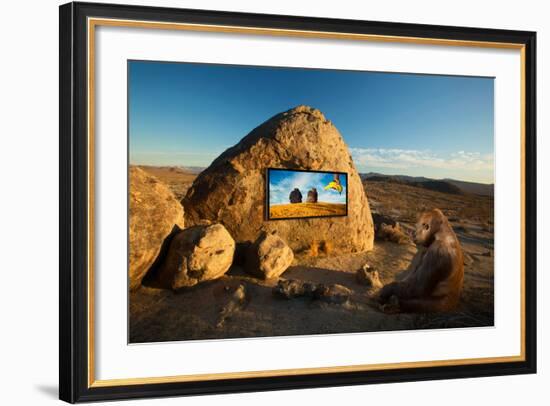 Why Media Works-Ron Jones-Framed Photographic Print