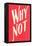 Why Not?-null-Framed Stretched Canvas