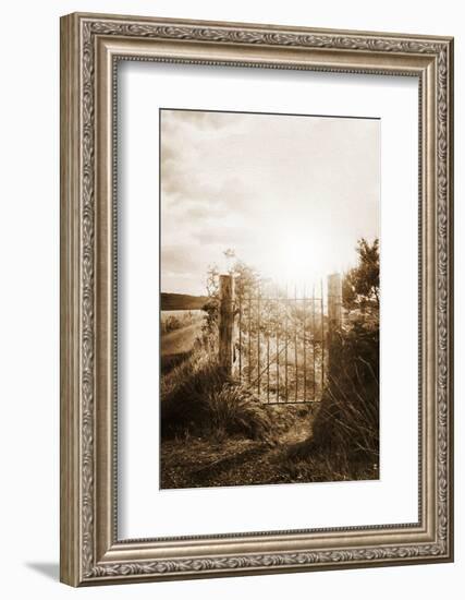 Why Should I Care-Philippe Sainte-Laudy-Framed Photographic Print