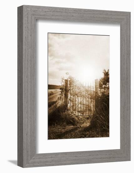 Why Should I Care-Philippe Sainte-Laudy-Framed Photographic Print