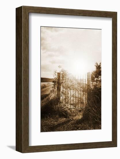 Why Should I Care-Philippe Sainte-Laudy-Framed Photographic Print