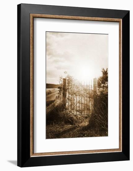 Why Should I Care-Philippe Sainte-Laudy-Framed Photographic Print