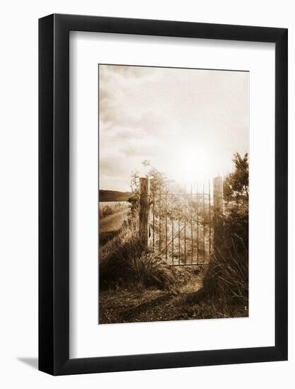 Why Should I Care-Philippe Sainte-Laudy-Framed Photographic Print