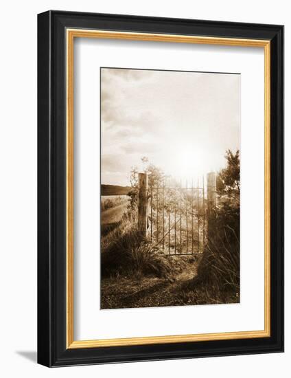 Why Should I Care-Philippe Sainte-Laudy-Framed Photographic Print