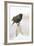 Wichita County, Texas. European Starling on Picket Fence-Larry Ditto-Framed Photographic Print