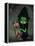 Wicked Witch and Her Hourglass-Jasmine Becket-Griffith-Framed Stretched Canvas