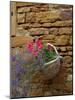 Wicker Basket of Flowers on Limestone Building, Burgundy, France-Lisa S. Engelbrecht-Mounted Photographic Print