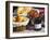 Wicker Basket with Croissants and Breads, Clos Des Iles, Le Brusc, Var, Cote d'Azur, France-Per Karlsson-Framed Photographic Print