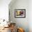 Wicker Basket with Croissants and Breads, Clos Des Iles, Le Brusc, Var, Cote d'Azur, France-Per Karlsson-Framed Photographic Print displayed on a wall