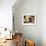 Wicker Basket with Croissants and Breads, Clos Des Iles, Le Brusc, Var, Cote d'Azur, France-Per Karlsson-Framed Photographic Print displayed on a wall