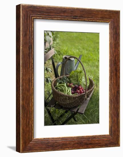 Wicker Basket with Plums, Salad, Beans-Andrea Haase-Framed Photographic Print