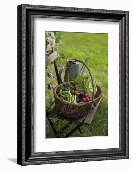 Wicker Basket with Plums, Salad, Beans-Andrea Haase-Framed Photographic Print