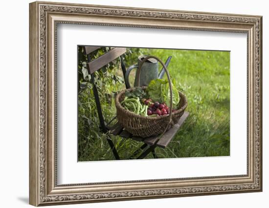 Wicker Basket with Plums, Salad, Beans-Andrea Haase-Framed Photographic Print