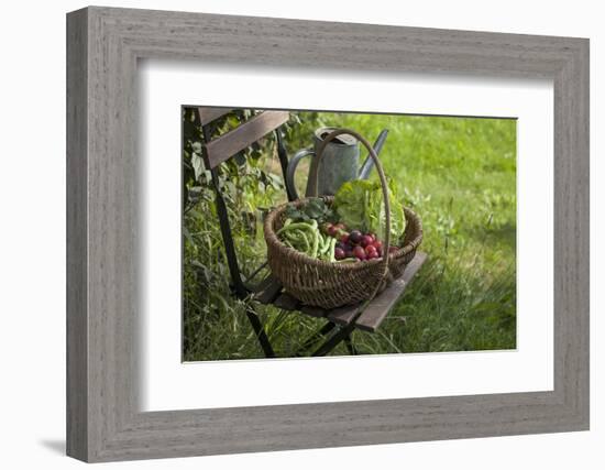 Wicker Basket with Plums, Salad, Beans-Andrea Haase-Framed Photographic Print