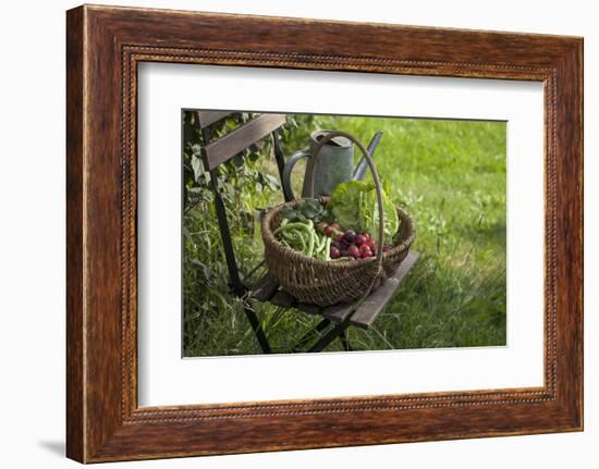 Wicker Basket with Plums, Salad, Beans-Andrea Haase-Framed Photographic Print