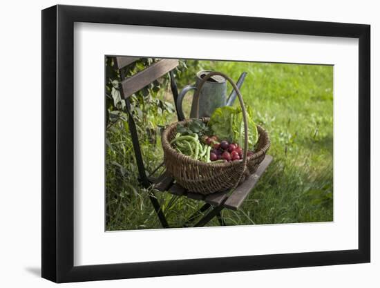 Wicker Basket with Plums, Salad, Beans-Andrea Haase-Framed Photographic Print