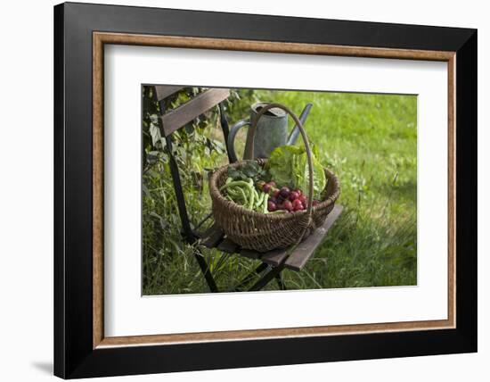 Wicker Basket with Plums, Salad, Beans-Andrea Haase-Framed Photographic Print