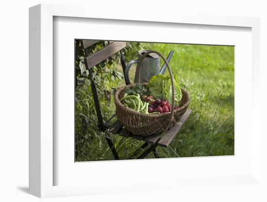 Wicker Basket with Plums, Salad, Beans-Andrea Haase-Framed Photographic Print