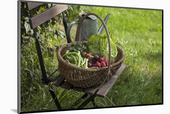 Wicker Basket with Plums, Salad, Beans-Andrea Haase-Mounted Photographic Print