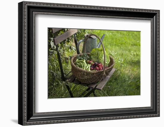 Wicker Basket with Plums, Salad, Beans-Andrea Haase-Framed Photographic Print