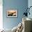 Wicomico River Sunrise I-Alan Hausenflock-Framed Photo displayed on a wall