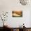 Wicomico River Sunrise II-Alan Hausenflock-Photo displayed on a wall
