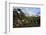 Wide angle landscape featuring Monte Fitz Roy in the background and tree in the foreground, Patagon-Fernando Carniel Machado-Framed Photographic Print