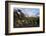 Wide angle landscape featuring Monte Fitz Roy in the background and tree in the foreground, Patagon-Fernando Carniel Machado-Framed Photographic Print