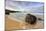 Wide Morning Seascape at Garrapata State Beach, California Coast-Vincent James-Mounted Photographic Print