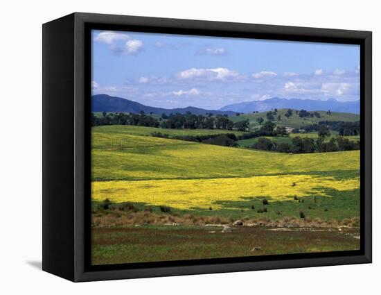 Wide Open Rolling Landscape, High Country, Australia-Richard Nebesky-Framed Premier Image Canvas