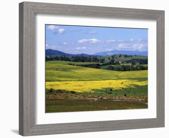 Wide Open Rolling Landscape, High Country, Australia-Richard Nebesky-Framed Photographic Print