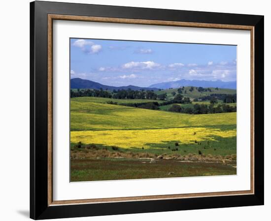 Wide Open Rolling Landscape, High Country, Australia-Richard Nebesky-Framed Photographic Print