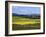 Wide Open Rolling Landscape, High Country, Australia-Richard Nebesky-Framed Photographic Print