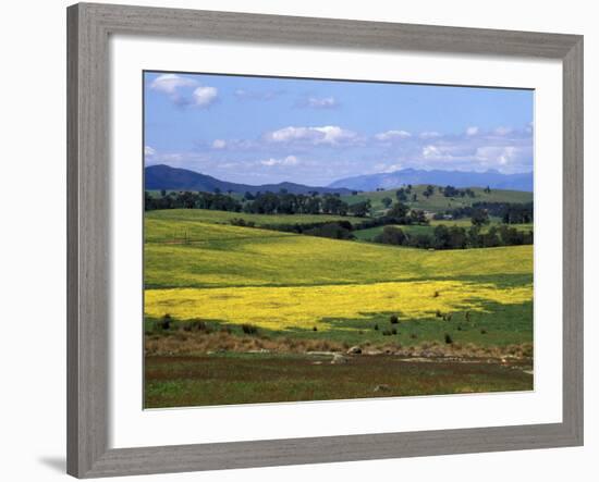 Wide Open Rolling Landscape, High Country, Australia-Richard Nebesky-Framed Photographic Print