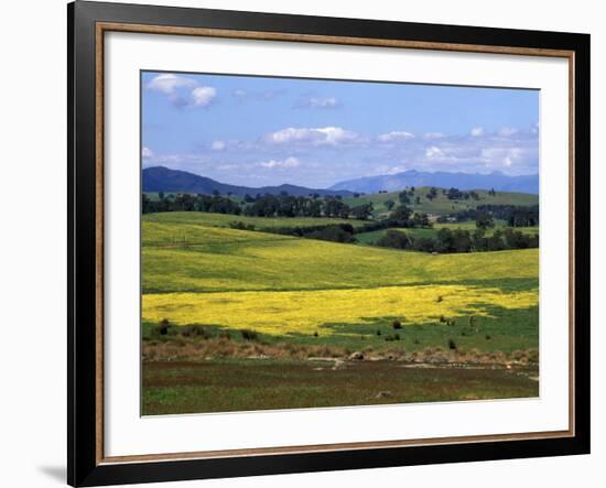 Wide Open Rolling Landscape, High Country, Australia-Richard Nebesky-Framed Photographic Print