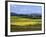 Wide Open Rolling Landscape, High Country, Australia-Richard Nebesky-Framed Photographic Print