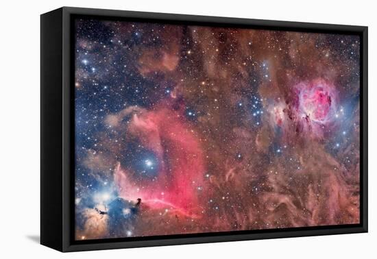 Widefield View of Orion Nebula and Horsehead Nebula-null-Framed Premier Image Canvas