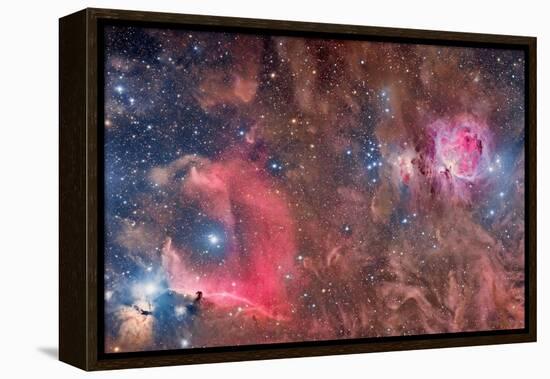 Widefield View of Orion Nebula and Horsehead Nebula-null-Framed Premier Image Canvas