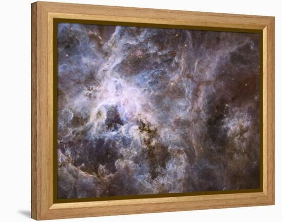 Widefield View of the Tarantula Nebula-null-Framed Premier Image Canvas